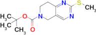 tert-Butyl 2-(methylthio)-7,8-dihydropyrido[4,3-d]pyrimidine-6(5H)-carboxylate