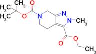 6-tert-butyl 3-ethyl 2-methyl-4,5-dihydro-2H-pyrazolo[3,4-c]pyridine-3,6(7H)-dicarboxylate