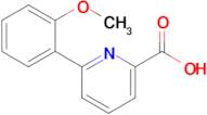 6-(2-methoxyphenyl)pyridine-2-carboxylic acid