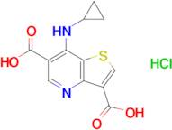 7-(Cyclopropylamino)thieno[3,2-b]pyridine-3,6-dicarboxylic acid hydrochloride