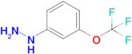 [3-(Trifluoromethoxy)phenyl]hydrazine