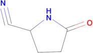 5-Oxopyrrolidine-2-carbonitrile