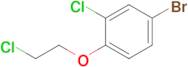 4-Bromo-2-chloro-1-(2-chloroethoxy)benzene