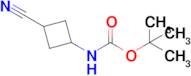 tert-Butyl N-(3-cyanocyclobutyl)carbamate
