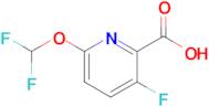 6-(Difluoromethoxy)-3-fluoropyridine-2-carboxylic acid