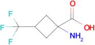 1-Amino-3-(trifluoromethyl)cyclobutane-1-carboxylic acid