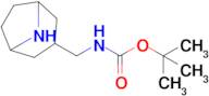 exo-3-(Boc-aminomethyl)-8-azabicyclo[3.2.1]octane