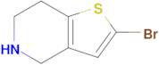 2-Bromo-4,5,6,7-tetrahydrothieno[3,2-c]pyridine