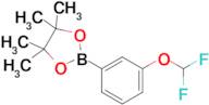 2-[3-(Difluoromethoxy)phenyl]-4,4,5,5-tetramethyl-1,3,2-dioxaborolane