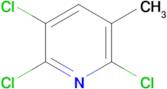 2,3,6-Trichloro-5-methylpyridine