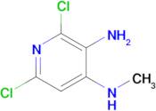2,6-dichloro-4-N-methylpyridine-3,4-diamine