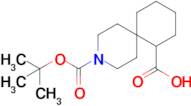 3-(tert-Butoxycarbonyl)-3-azaspiro[5.5]undecane-7-carboxylic acid