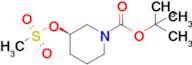 (R)-tert-Butyl 3-((methylsulfonyl)oxy)piperidine-1-carboxylate