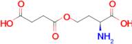 O-Succinyl-L-homoserine