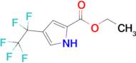 Ethyl 4-(perfluoroethyl)-1H-pyrrole-2-carboxylate