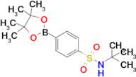 N-(tert-Butyl)-4-(4,4,5,5-tetramethyl-1,3,2-dioxaborolan-2-yl)benzenesulfonamide