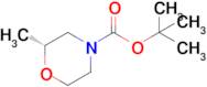 (R)-tert-Butyl 2-methylmorpholine-4-carboxylate