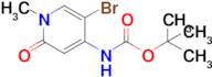 tert-Butyl (5-bromo-1-methyl-2-oxo-1,2-dihydropyridin-4-yl)carbamate