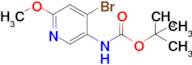 tert-Butyl (4-bromo-6-methoxypyridin-3-yl)carbamate