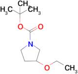 tert-Butyl 3-ethoxypyrrolidine-1-carboxylate