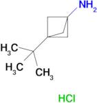 3-(tert-Butyl)bicyclo[1.1.1]pentan-1-amine hydrochloride