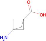 3-Aminobicyclo[1.1.1]pentane-1-carboxylic acid