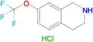 7-(Trifluoromethoxy)-1,2,3,4-tetrahydroisoquinoline hydrochloride