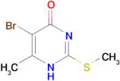 5-bromo-6-methyl-2-(methylsulfanyl)-1,4-dihydropyrimidin-4-one