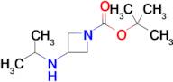 Tert-Butyl 3-(isopropylamino)azetidine-1-carboxylate