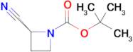(S)-tert-Butyl 2-cyanoazetidine-1-carboxylate