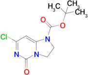 tert-Butyl 7-chloro-5-oxo-2,3-dihydroimidazo[1,2-c]pyrimidine-1(5H)-carboxylate