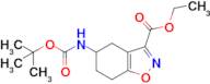 Ethyl 5-((tert-butoxycarbonyl)amino)-4,5,6,7-tetrahydrobenzo[d]isoxazole-3-carboxylate