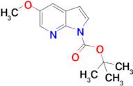 tert-Butyl 5-methoxy-1H-pyrrolo[2,3-b]pyridine-1-carboxylate