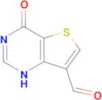 4-oxo-1H,4H-thieno[3,2-d]pyrimidine-7-carbaldehyde