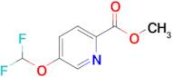 Methyl 5-(difluoromethoxy)picolinate