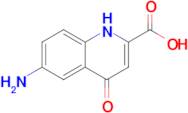 6-Amino-4-oxo-1,4-dihydroquinoline-2-carboxylic acid