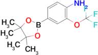 4-(4,4,5,5-Tetramethyl-1,3,2-dioxaborolan-2-yl)-2-(trifluoromethoxy)aniline