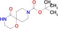 tert-Butyl 5-oxo-1-oxa-4,9-diazaspiro[5.5]undecane-9-carboxylate