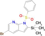 5-Bromo-1-(phenylsulfonyl)-2-(trimethylsilyl)-1H-pyrrolo[2,3-b]pyridine