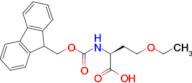 N-Fmoc-O-ethyl-L-homoserine