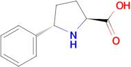 (2S,5S)-5-Phenylpyrrolidine-2-carboxylic acid