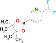 2-(Difluoromethyl)-5-(4,4,5,5-tetramethyl-1,3,2-dioxaborolan-2-yl)pyridine