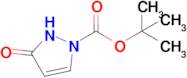 tert-Butyl 3-oxo-2,3-dihydro-1H-pyrazole-1-carboxylate