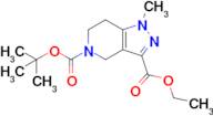 5-(tert-Butyl) 3-ethyl 1-methyl-1,4,6,7-tetrahydro-5H-pyrazolo[4,3-c]pyridine-3,5-dicarboxylate