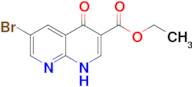 Ethyl 6-bromo-4-oxo-1,4-dihydro-1,8-naphthyridine-3-carboxylate