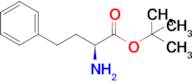 (S)-Tert-butyl 2-amino-4-phenylbutanoate