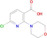 6-Chloro-2-morpholinonicotinic acid