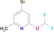 4-Bromo-2-(difluoromethoxy)-6-methylpyridine