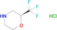 (S)-2-(Trifluoromethyl)morpholine hydrochloride