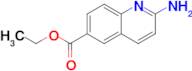 Ethyl 2-aminoquinoline-6-carboxylate